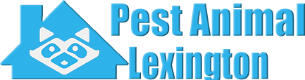 Lexington Wildlife and Animal Removal